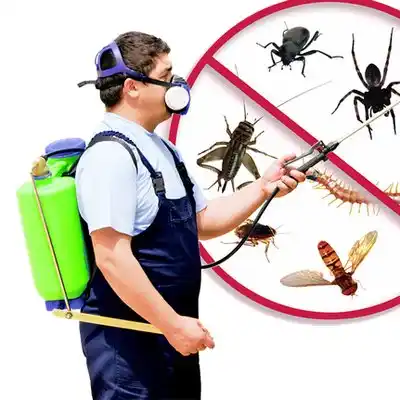 pest control North Cape May
